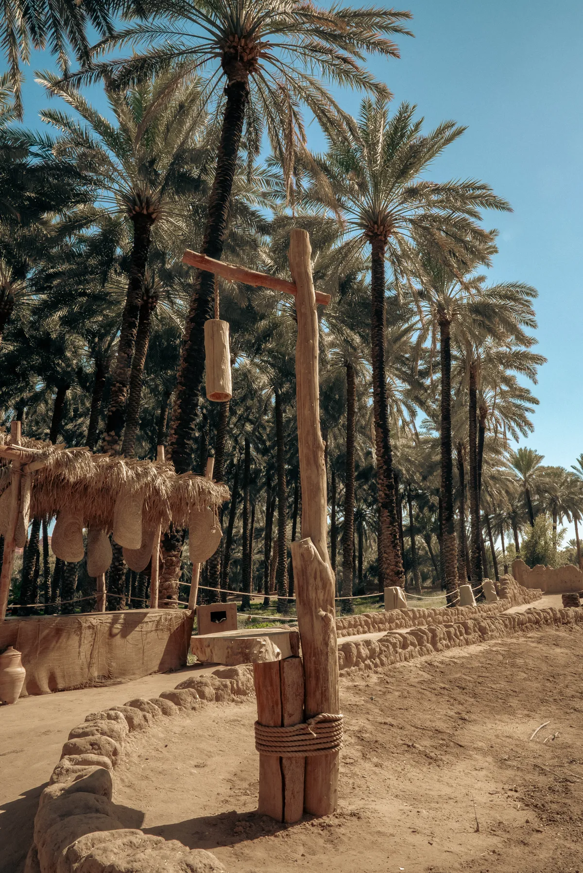 Oasis